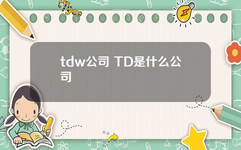 tdw公司 TD是什么公司